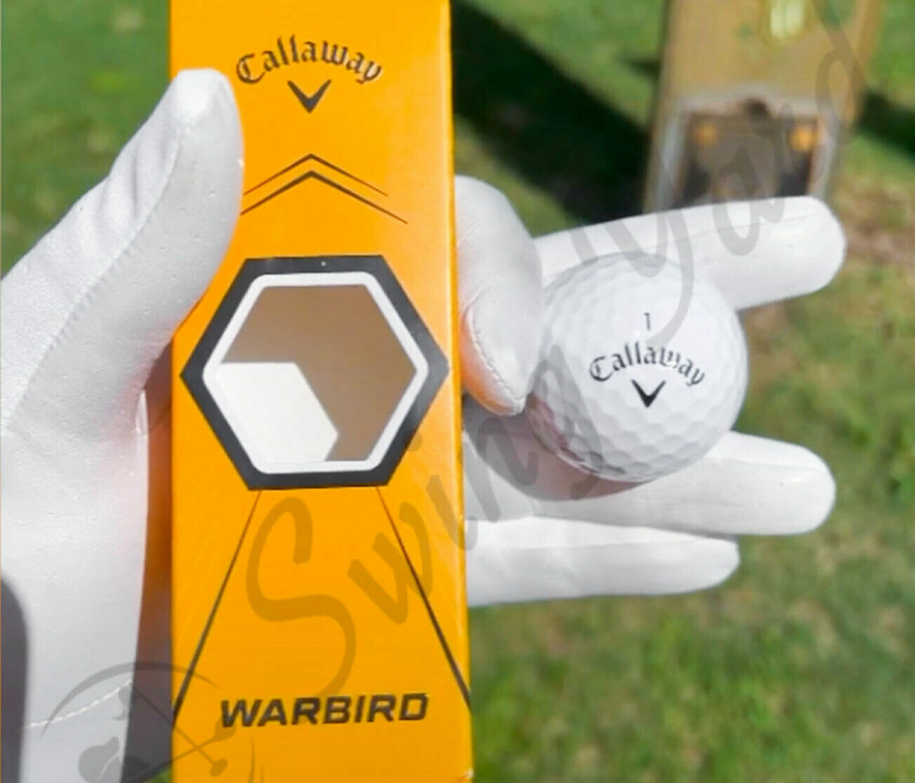 Me holding Callaway Warbird ball at the golf course