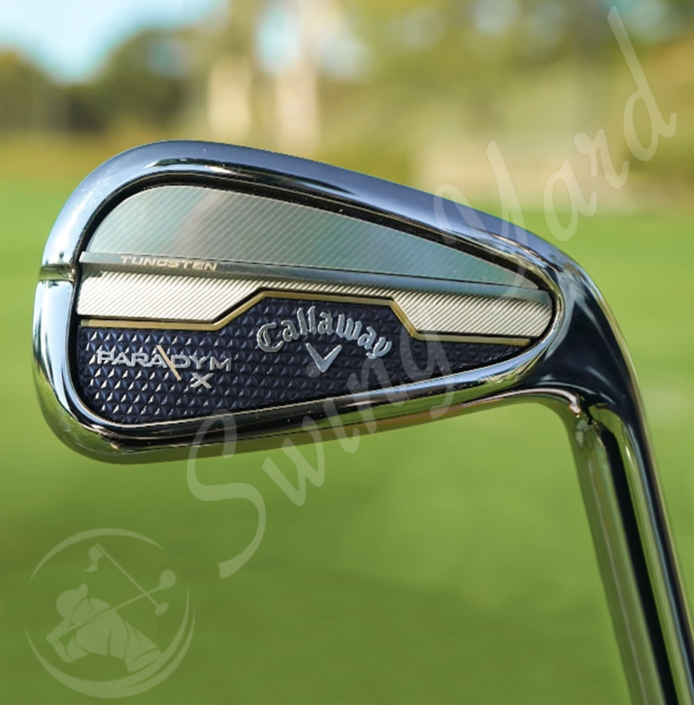 One of the best Irons for women golfer