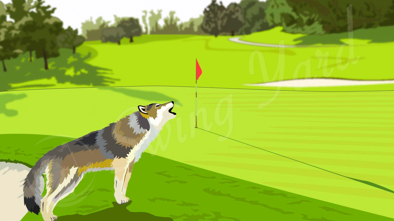 A wolf on a golf course